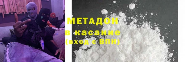 индика Снежногорск