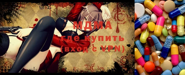 ГАЛЛЮЦИНОГЕННЫЕ ГРИБЫ Богданович