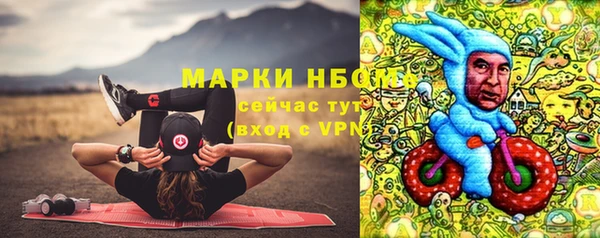 ГАЛЛЮЦИНОГЕННЫЕ ГРИБЫ Богданович