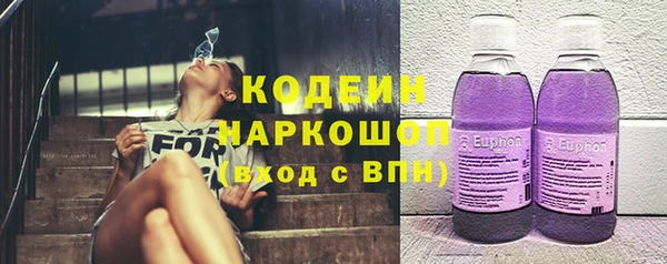 индика Снежногорск