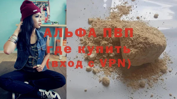 ГАЛЛЮЦИНОГЕННЫЕ ГРИБЫ Богданович